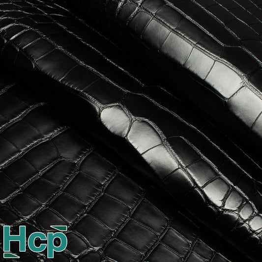 HCP ALLIGATOR - BLACK