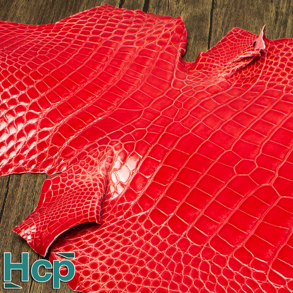 HCP GLAZED ALLIGATOR - ORANGE 1B03 – A & A Crack & Sons