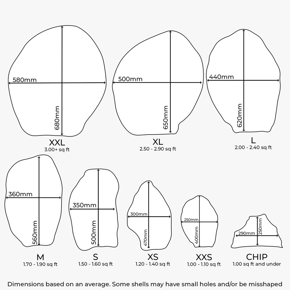 Dimensions