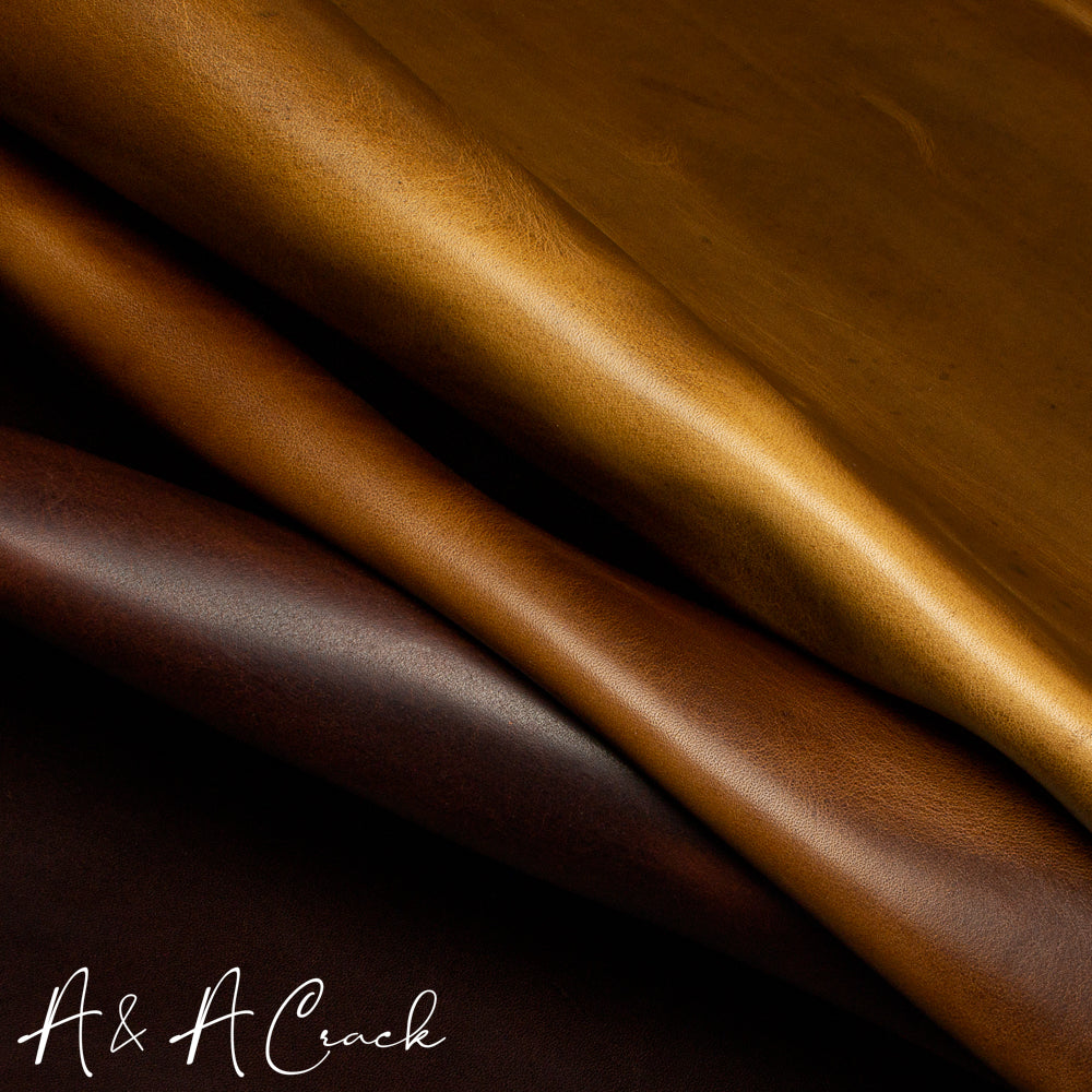 HUNTER - COLOUR CARD