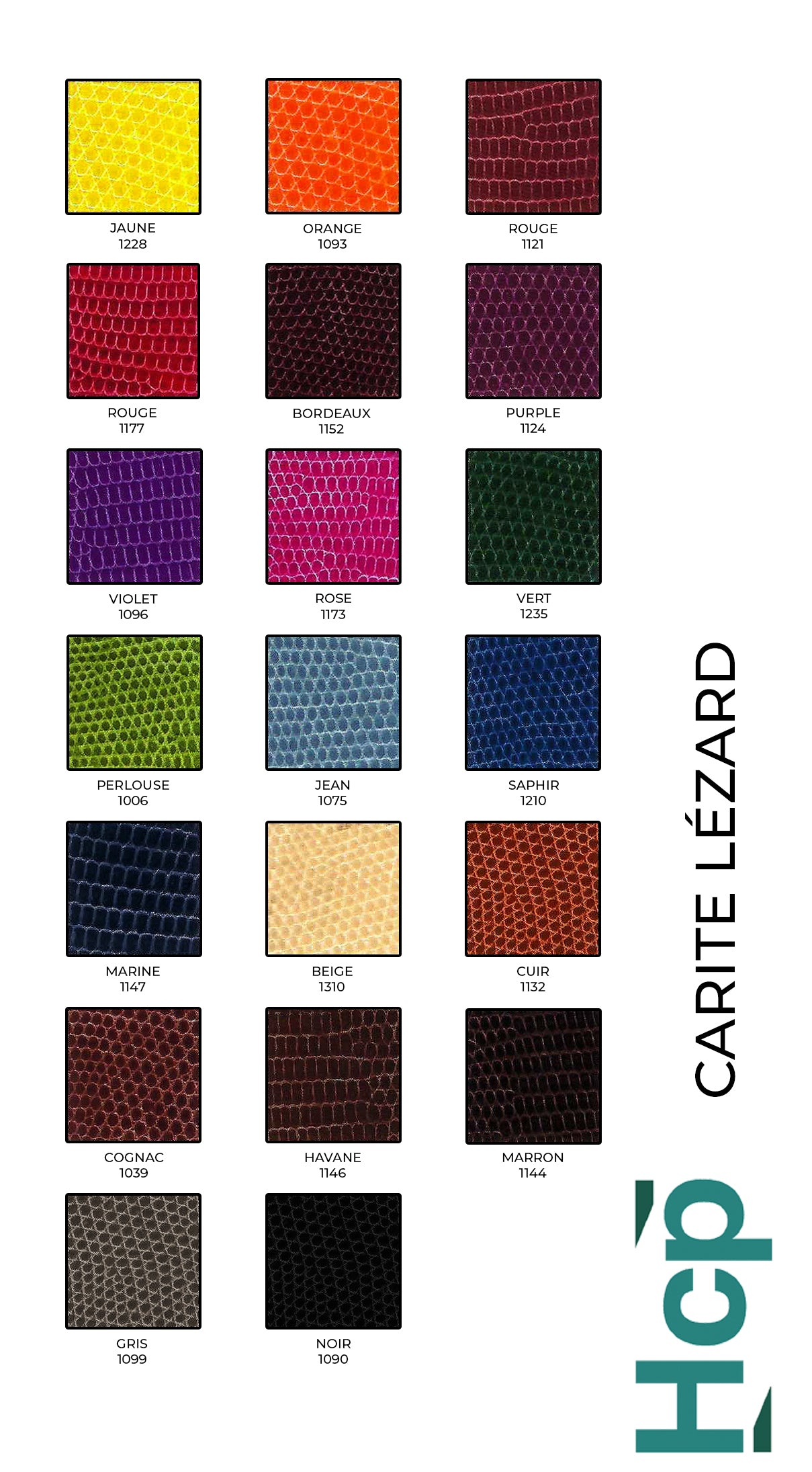 HCP LIZARD - COLOUR CARD