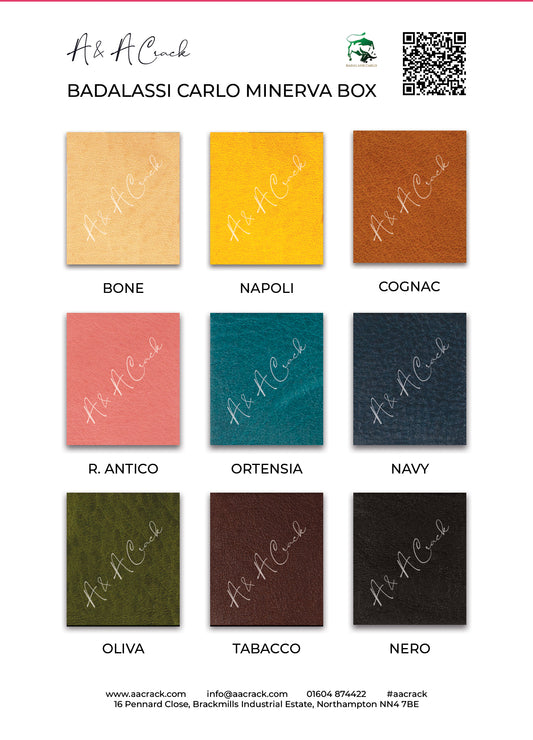 BADALASSI CARLO MINERVA BOX - COLOUR CARD