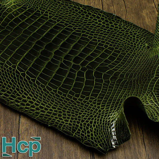 HCP GLAZED ALLIGATOR - KHAKI 1K01