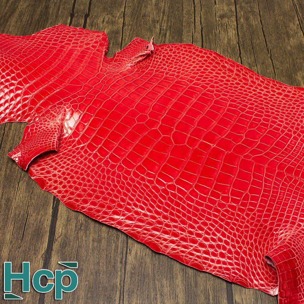 HCP GLAZED ALLIGATOR - ORANGE 1B03