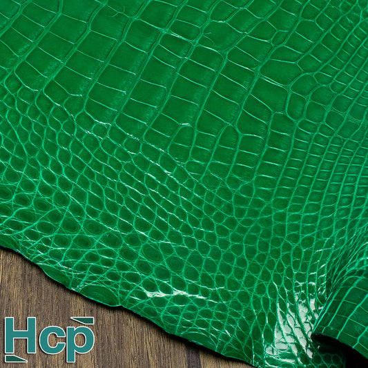 HCP GLAZED ALLIGATOR - VERT 1J03
