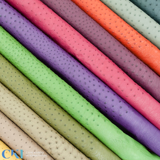 CAPE KAROO GENUINE OSTRICH - COLOUR CARD